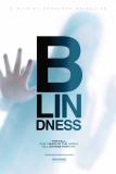 BLINDNESS