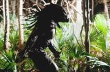 Predatoes